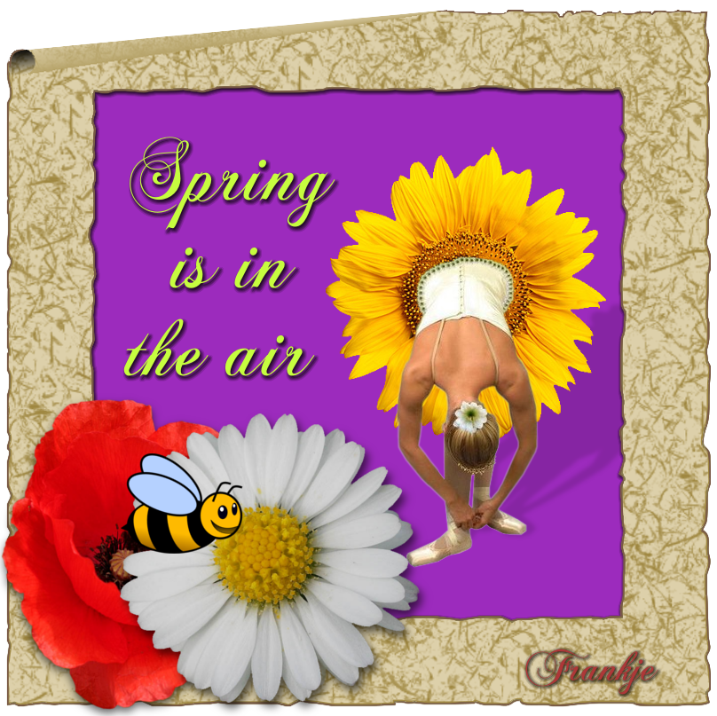 308-20160504-f473c7.png